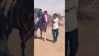 Laddo ghoda pava ne jay #shortsfeed #vlog #divya #trending #minivlog #divuvlogs #devotionalsong