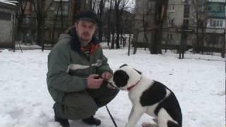 Первый урок кличка