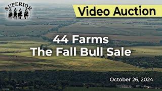 44 Farms - The 2024 Fall Bull Sale