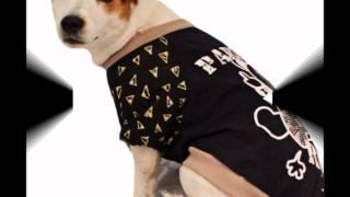 Dog jackets, dog dresses and more   Pimpin' Paws Range 2011