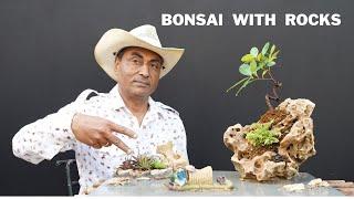 Bonsai with Rock/ How to Create Landscape Penjing