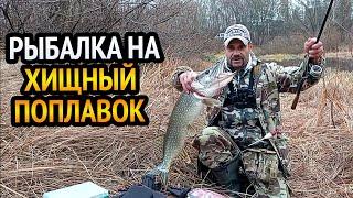 РЫБАЛКА НА ХИЩНЫЙ ПОПЛАВОК!!! Ловля щуки на живца. Самая простая но очень уловистая снасть на щуку.