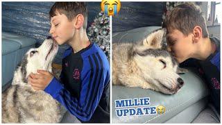 Millie update