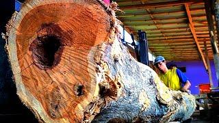 Increíble habilidad para cortar madera de teca || Fantástico rendimiento de madera de teca.