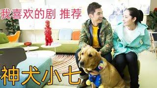 影视剧推荐️神犬小七 Hero Dog Season 1