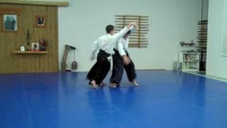 Aikido Freestyle (Jiyuwaza) - Dave Goldberg Sensei - Aikido of San Diego