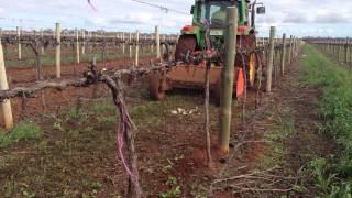 Guidolin Agrimac FCR Rake & Tierre Mulcher in Vineyard