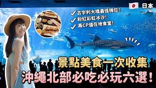 沖繩北部六個必吃必玩！古宇利大橋拍攝攻略、粉紅彩虹冰沙、美麗海水族館必看秀、高CP值在地家庭食堂、沖繩自駕遊EP3｜Irene麻糬公主