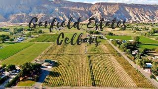 Vineyard and Winery For Sale, Palisade Colorado