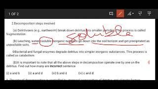 Ecosystem (decomposition) -steps of decomposition