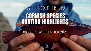 Light Rock Fishing - Cornish Species Hunting Highlights - Big Lerf Weekender 2021