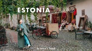 7 Days in Estonia : Exploring Nordic Shops, Charming Streets, and Saunas! ️🪴