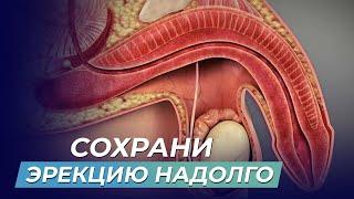 Как СОХРАНИТЬ МОЩНУЮ ЭРЕКЦИЮ в зрелом возрасте? Восстановите потенцию за считанные дни БЕЗ ТАБЛЕТОК!