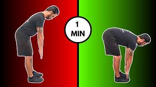 Touch Your Toes In 1 Minute!