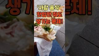 ‘사람 음식’ 한입만 줘도 생기는 문제 #강아지 #dog #반려견