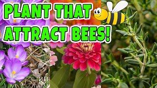 18 Plants that Attract Bees to your gardens (Save the Bees)