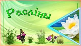 Чырвоная кніга Шклоўскага раёна. 2. РАСЛІНЫ