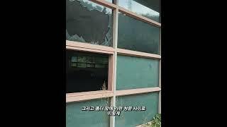 폐교 전 아름다운 캠퍼스를 갖췄던 한중대학교, 폐교 후 5년 뒤 현재모습 #한중대학교 #폐교
