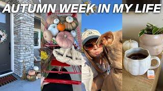 Cozy Autumn Vlog | Trader Joe's Fall Haul, Decor Shopping, Exciting Life Updates!