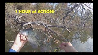 1 HOUR of Catching FALL CRAPPIE in a Kayak and One Man Pontoon With NO LIVESCOPE!