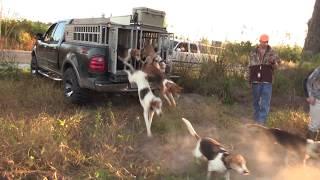 Deer Hunting With Hounds Two Does Down!! Kill Shot| 2019/2020 Deer Season