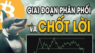 Hiểu Rõ Hơn Về Giai Đoạn Phân Phối và Chốt Lời Của Cá Mập || Tuệ Trading