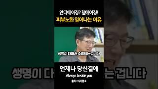 피부노화가 일어나는 이유 웰에이징 하세요