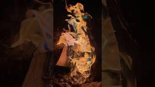 Beautiful campfire