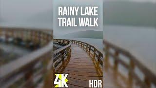 Stunning Fall Foliage on a Rainy Day | 4K HDR Autumn Walk at Birth of a Lake Trail (Vertical Video)