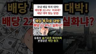 ⭐️국내 배당 투자? | 배당률 22.4%! | 비과세? 배당 대박 찾는 방법!