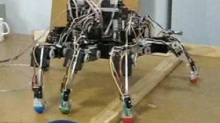 Autonomous Robot With Neurologically-Based Control System