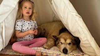 Adorable Baby Girl Has A Tea Party With Her Dog And Reads Him Their Special Book! (So Cute!)