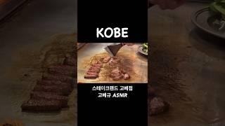 일본 고베 맛집 스테이크랜드 asmr