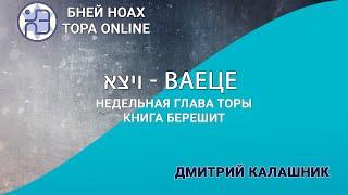 Недельная глава Торы - Парашат а-шавуа - "Ваецэ" 5784/2024 - Дмитрий Калашник