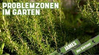 "Problemzonen" im Garten | James der Gärtner