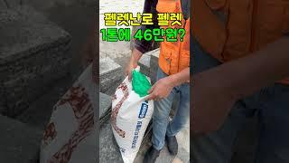 펠렛난로 펠렛 최저가 도전 와우 1톤에 46만원? 정말?