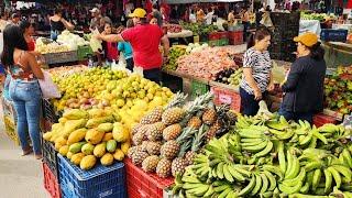 FARTURA E CUSTO DE VIDA BAIXO SÓ NAS FEIRA DO NORDESTE. CARNE 15 REAIS!