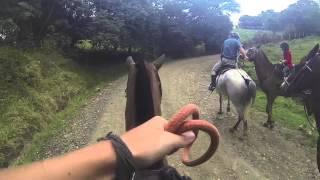 Horse riding with Horse Trek Monteverde