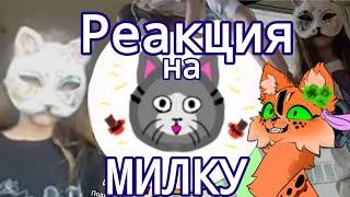 Реакция на МИЛКУ ! @milka-chocolatu ! Мое мнение!