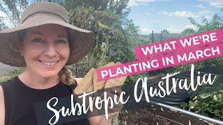 What we're planting in March Australian Subtropics + Cyclone Preparation