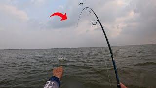 WADE FISHING BIRD ISLAND BASIN USING LIVE CROAKER (CORPUS CHRISTI, TX)