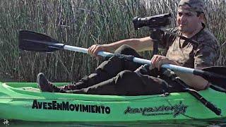 Filmando AVES desde el KAYAK *  Filming BIRDS from the KAYAK