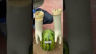 This homeowner built a UNIQUE DIY that shocked everyone!