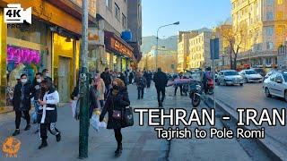 Walking Street and Talking on Tajrish Square to Pole Romi Tehran City 4K 2022