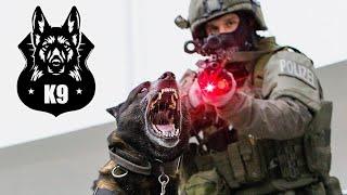 Las 10 Razas de Perros Militares y Policías más Efectivas