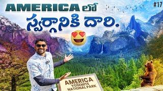 Beautiful Yosemite National Park | Half Dome | Water Falls | Uma Telugu Traveller