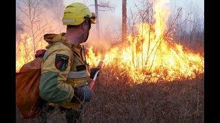 Пожары в Якутии 2013 - Командировка Забайкальской группы на тушение лесных пожаров