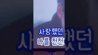 사랑했다