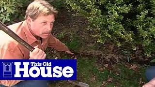 How to Edge a Garden Bed | This Old House