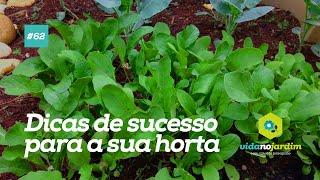 Dicas de sucesso para ter uma horta na sua CASA